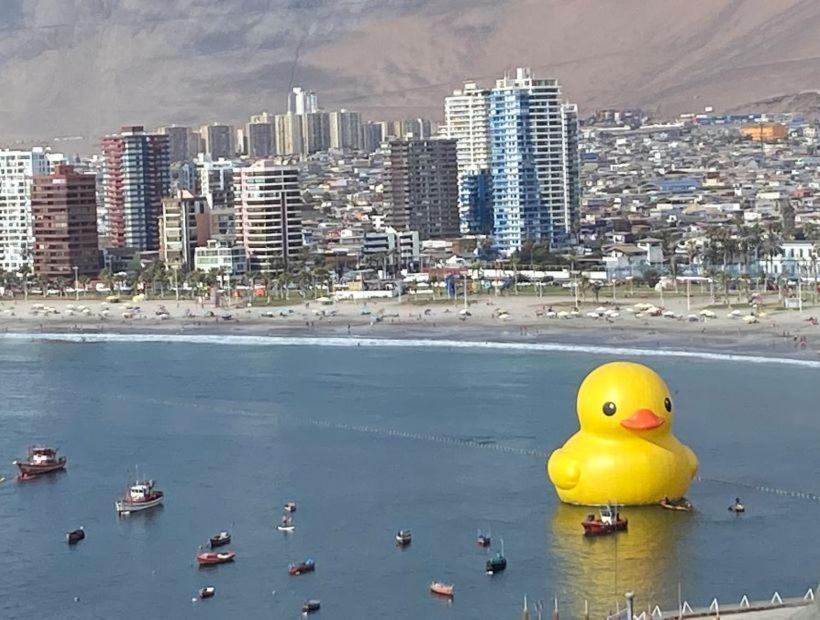 Iquique *