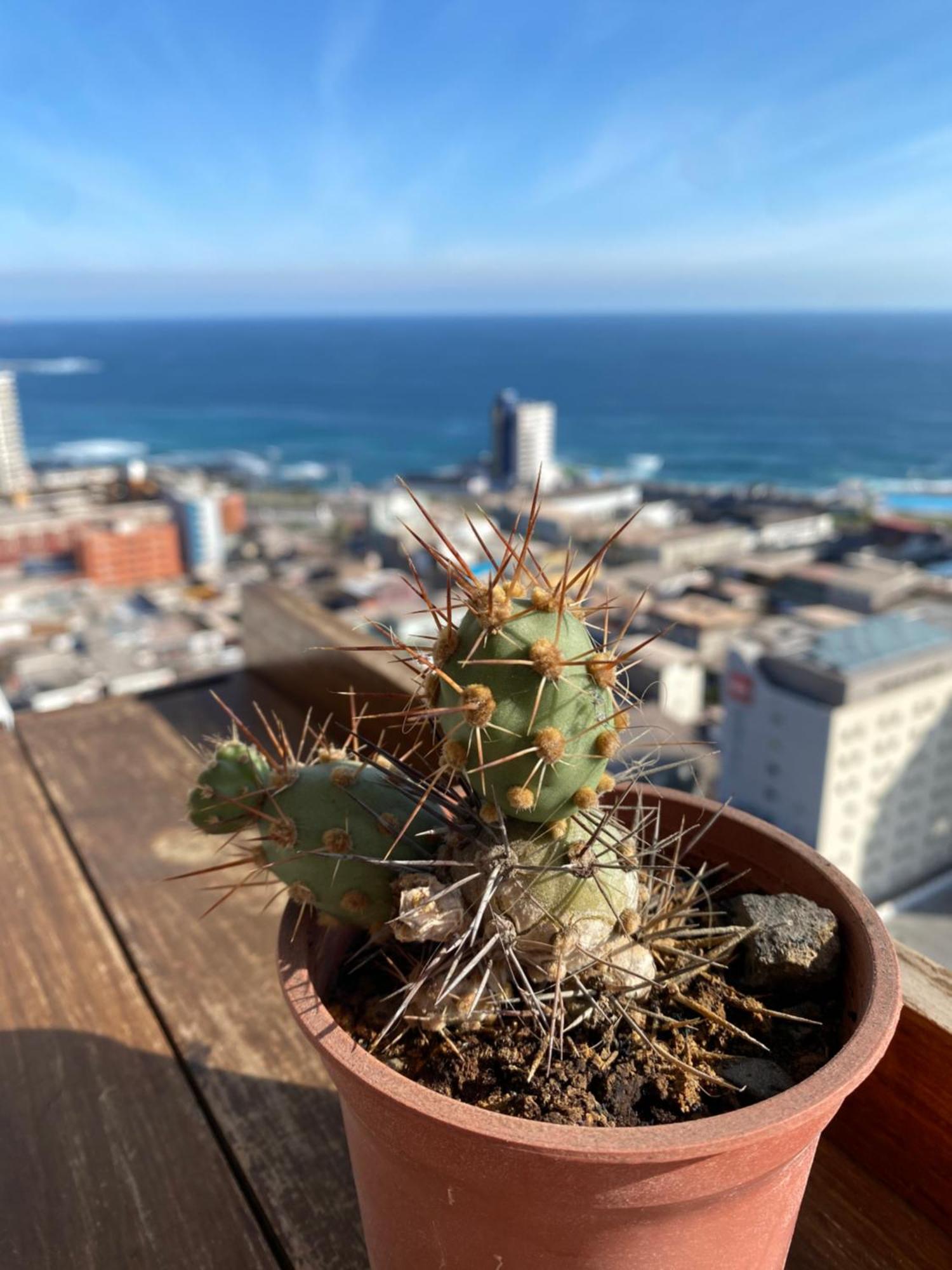 Apartamento Iquique